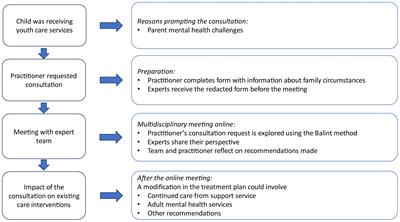 Implementing an integrated family approach in mental health care for families experiencing complex and multiple problems: a case example in Amsterdam